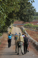 hikers walking down road