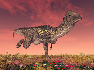 Obraz premium Dinosaurier Stegoceras