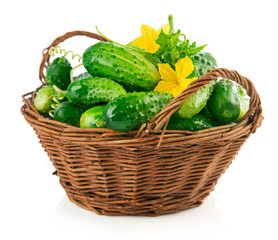 Fresh cucumbers in wicker basket with green