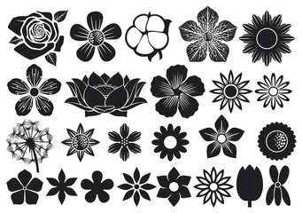 collection of flowers (lotus, dandelion, cherry blossom, rose, cotton, tulip, violet, hibiscus)