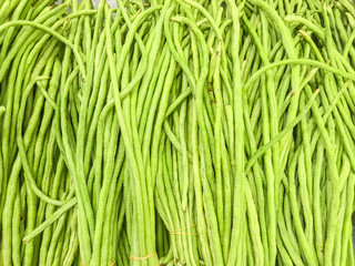 Closeup pile of fresh green yard long bean textured background