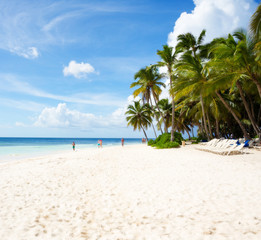 Saona Island in Punta Cana, Dominican Republic, white sand