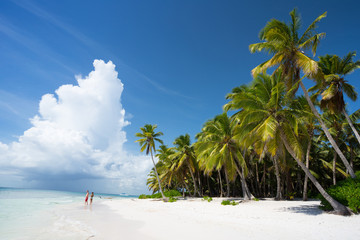 Saona Island in Punta Cana, Dominican Republic, Paradise - obrazy, fototapety, plakaty