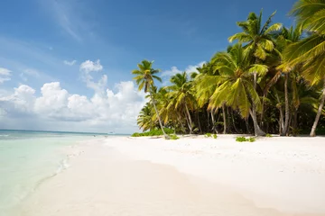 Fotobehang Saona-eiland in Punta Cana, Dominicaanse Republiek, paradijs op aarde © bruno ismael alves