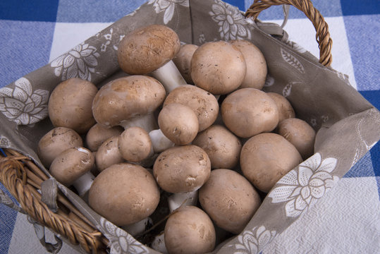 cestino funghi champignon su tovaglia