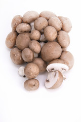 funghi champignon su fondo bianco