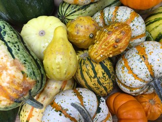 A variety of gourds in a supermarket in the fall