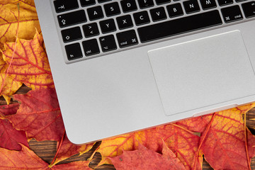 Laptop on colorful autumn leaves on a table - 124885918