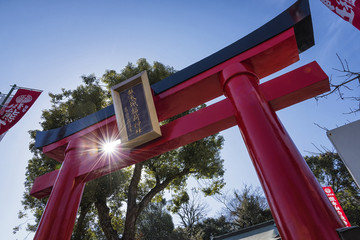 KUMAMOTO SHRINE, JAPAN - FEB 16 : Torii gates in Kumamoto Inari Shrine on February 18, 2016 in Fukuoka Japan