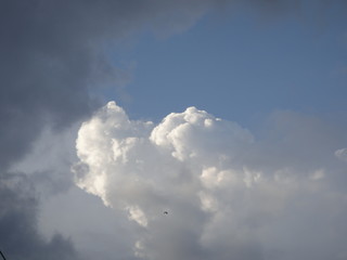 Fototapeta premium Cloud