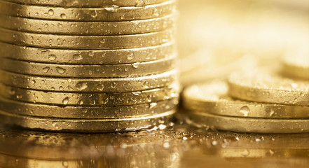 Wet golden coins - money savings concept banner