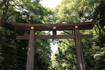 明治神宮　大鳥居