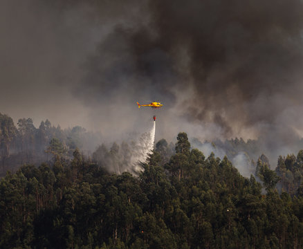 Portuguese Civil Protection Firefighter Helicopter Dropping Water on a Fire 4
