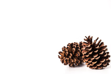 pine cone isolated on white background for Christmas decorative.