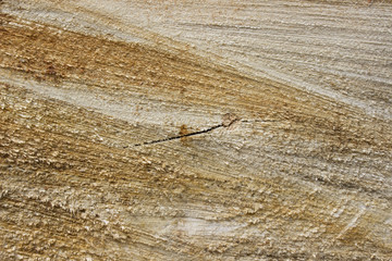 wooden background