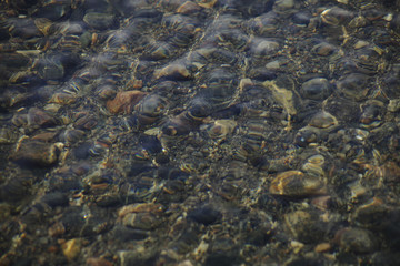 Pebbles under water