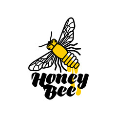 Bee, honey, apiary logo, sketch style vector illustrations isolated on white background. Hand-drawn honey bee logo for honey products, labels, bee farms and apiaries