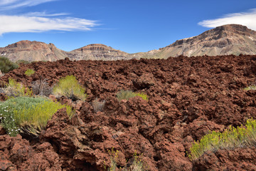 Vulkanische Landschaft auf Teneriffa