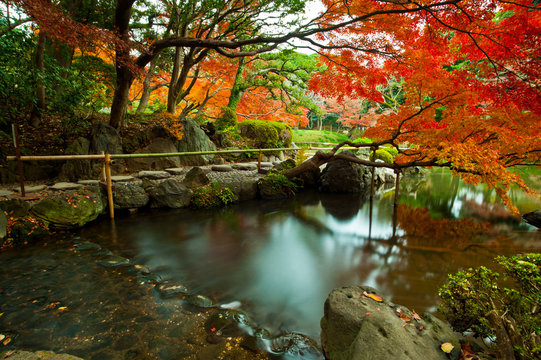 Japanese Style Garden And Park With Pond In Autumn Season Koishikawa Korakuen Tokyo Japan