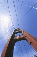 Fototapeta premium fisheye looking up