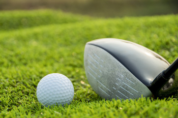 Golf club and ball in grass