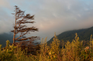 mountain Mamzyshha (Abkhazia, Gagra)