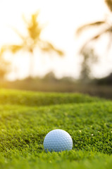 Golf ball on the green