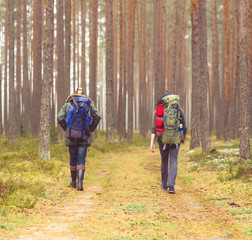 Young tourist men with backpacks in the forest