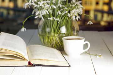 flower on the book in front of the window in the morning. Copy s