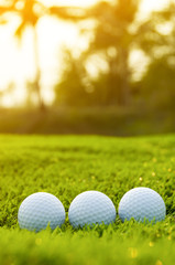 Golf ball on the green