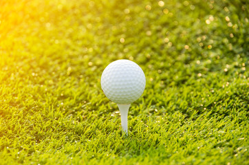 Golf ball on the green