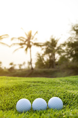 Golf ball on the green