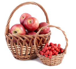 Apples and mountain ash in   baskets