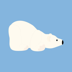 Polar bear illustration