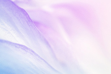 pétales de fleurs de couleur douce dans une couleur douce et un style flou pour l& 39 arrière-plan