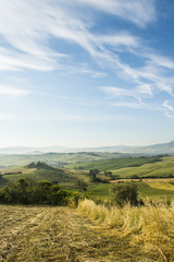 Toscany landscape vertical