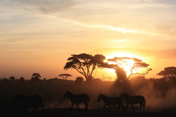 Fototapeta na wymiar Sonnenuntergang Kenya