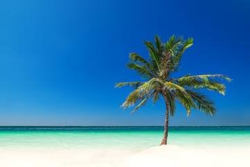Fototapeta na wymiar Minimalism style landscape. Amazing tropical beach landscape with palm tree, white sand and turquoise ocean waves. Myanmar (Burma) travel destinations