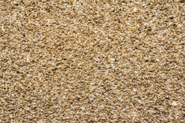 Texture of plastered wall