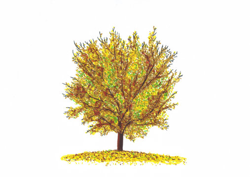 Herbst Baum