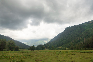 fog in the mountains of Abkhazia