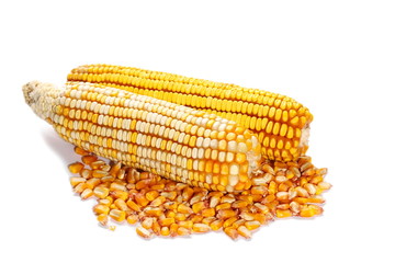 pile corn seed and maize isolated on white background