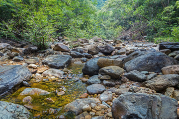 Stream in the tropical jungles