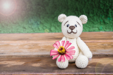 amigurumi doll bear and flower background/crochet teddy bear