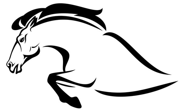 profile horse jump black and white vector outline