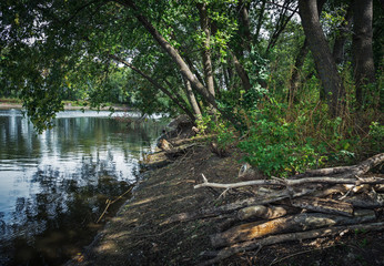 Coast abandoned pond