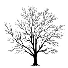 Vector tree silhouette isolated on white background