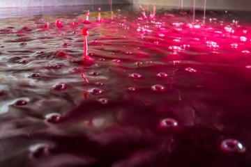 vin rouge dans le pressoir