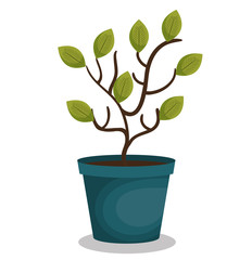 plant in pot isolated icon vector illustration design