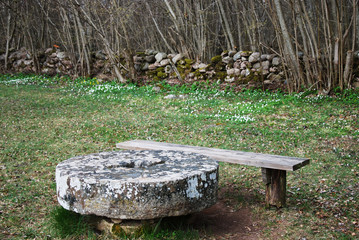 Obraz premium Natural resting place